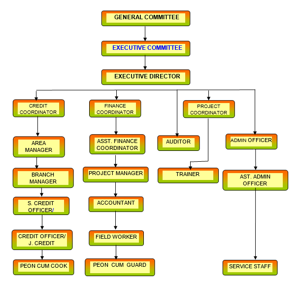 organogram